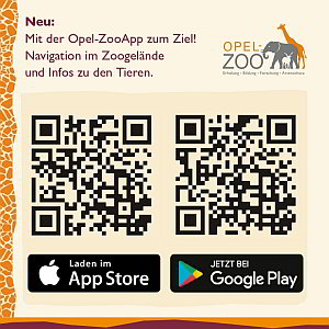 Neu im Opel-Zoo: Opel-ZooApp 