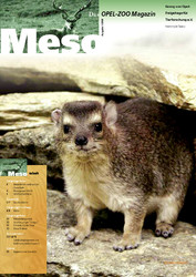 Meso-12-2006