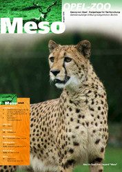 Meso-20-2010