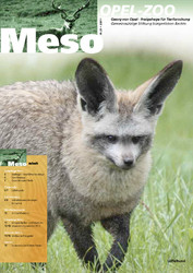 Meso-23-2011