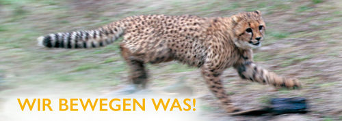 Slider FF_wir bewegen was3.jpg