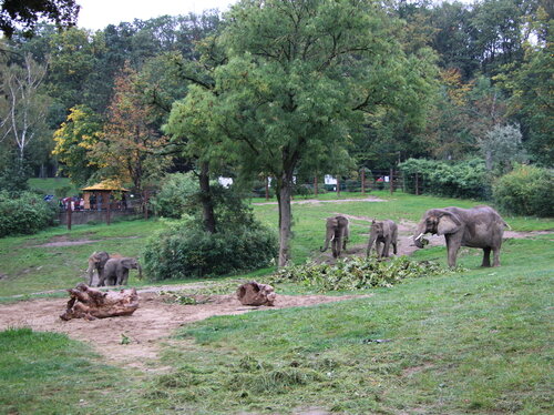 14-Elefantenanlage2