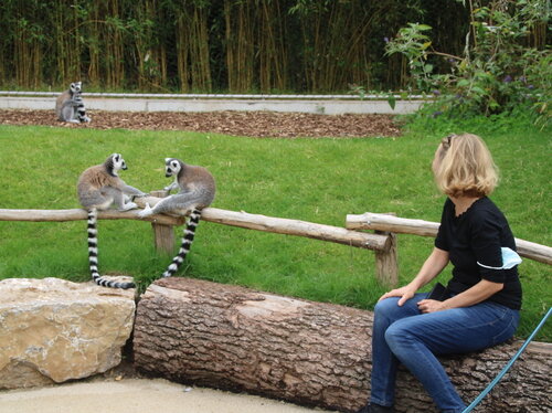 23-Madagaskar-Voliere2