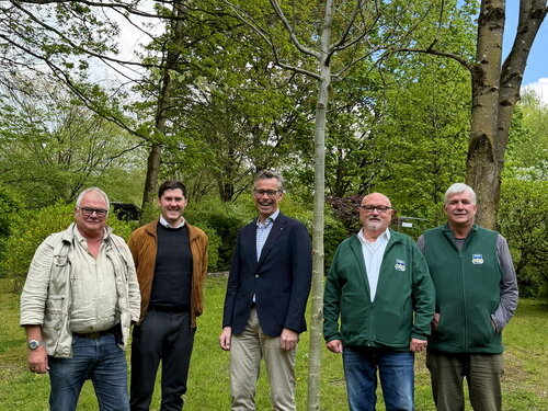 Baum des Jahres 2026