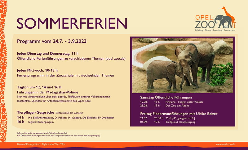 Sommerferien-Programm 2023 Banner OZ.jpg