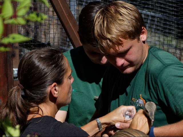 Was, wenn Tiere krank werden? Rundgang mit der Zootierärztin