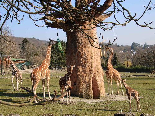 Osterferienprogramm im Opel-Zoo